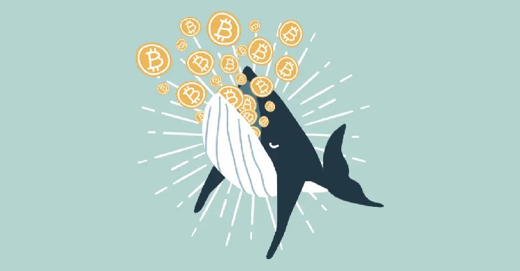 Smart Bitcoin Zilla makes more than $90 million in profits in nine months