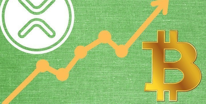 XRP will defeat Bitcoin 237% in one year without the support of the ETF or the Ministry of Finance.