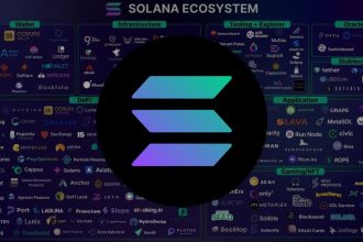 Solana Ecosystem Sees Strong Developer Growth, According to Santiment