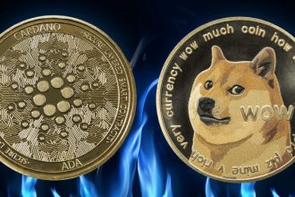Dogecoin doge money