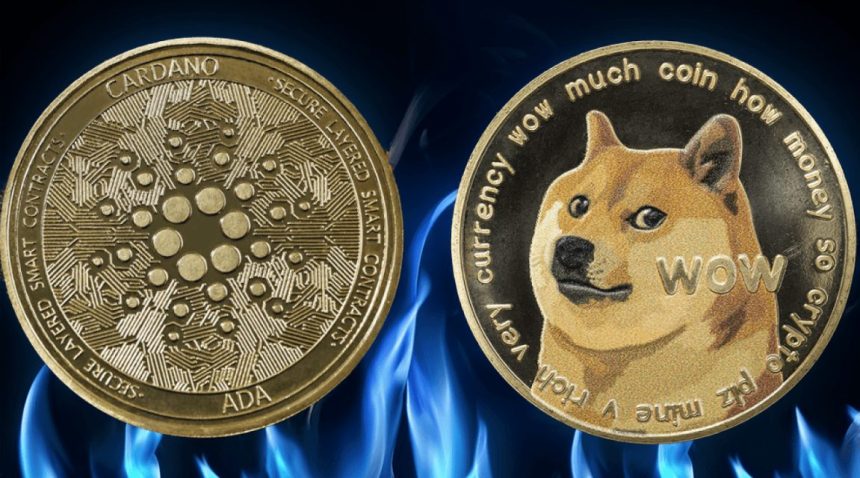 Dogecoin doge money
