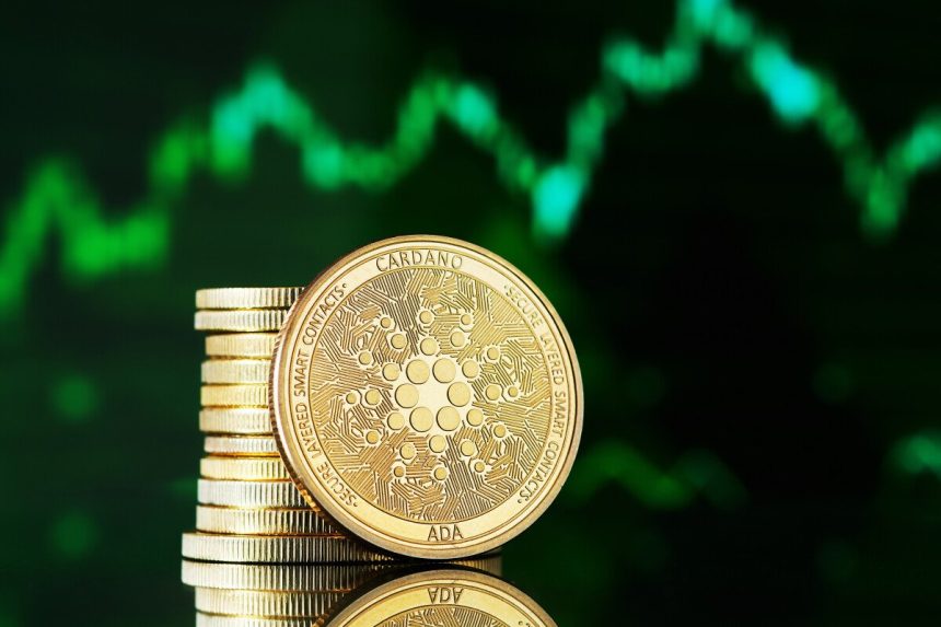 Dogecoin doge money