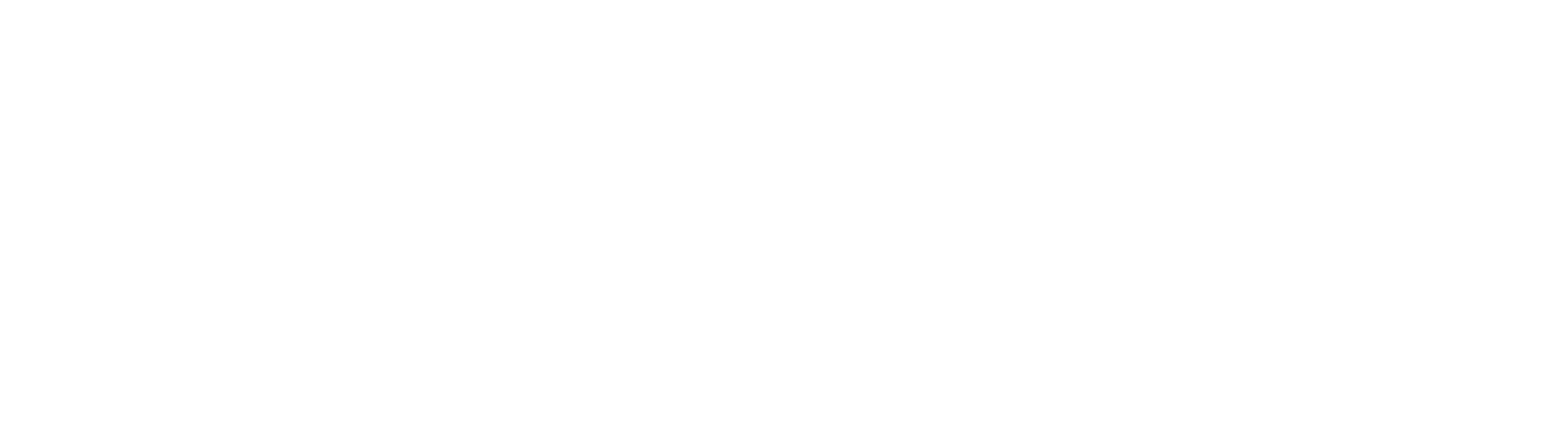 BTC Pizza