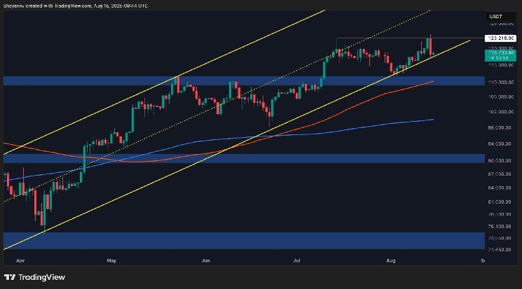 After the high BTC, a classic bull trap appears