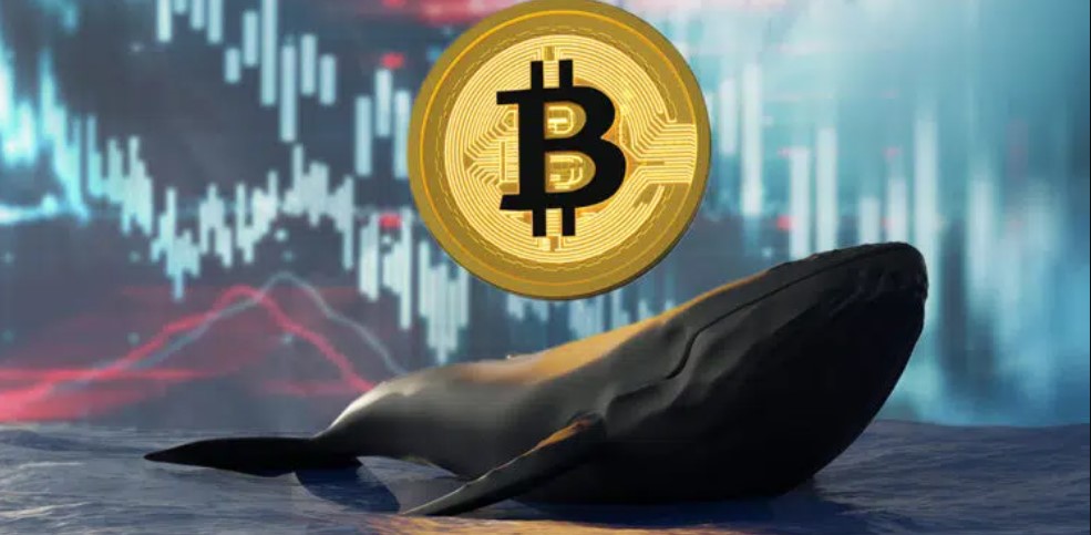 Last month, 140,000 Bitcoin sold whales