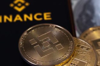 If you meet certain requirements, Binance will give you a new token somi