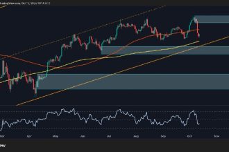 Is BTC's momentum trending bearish after the crash?