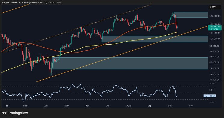 Is BTC's momentum trending bearish after the crash?
