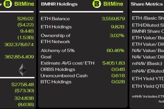 BitMine Key Metrics