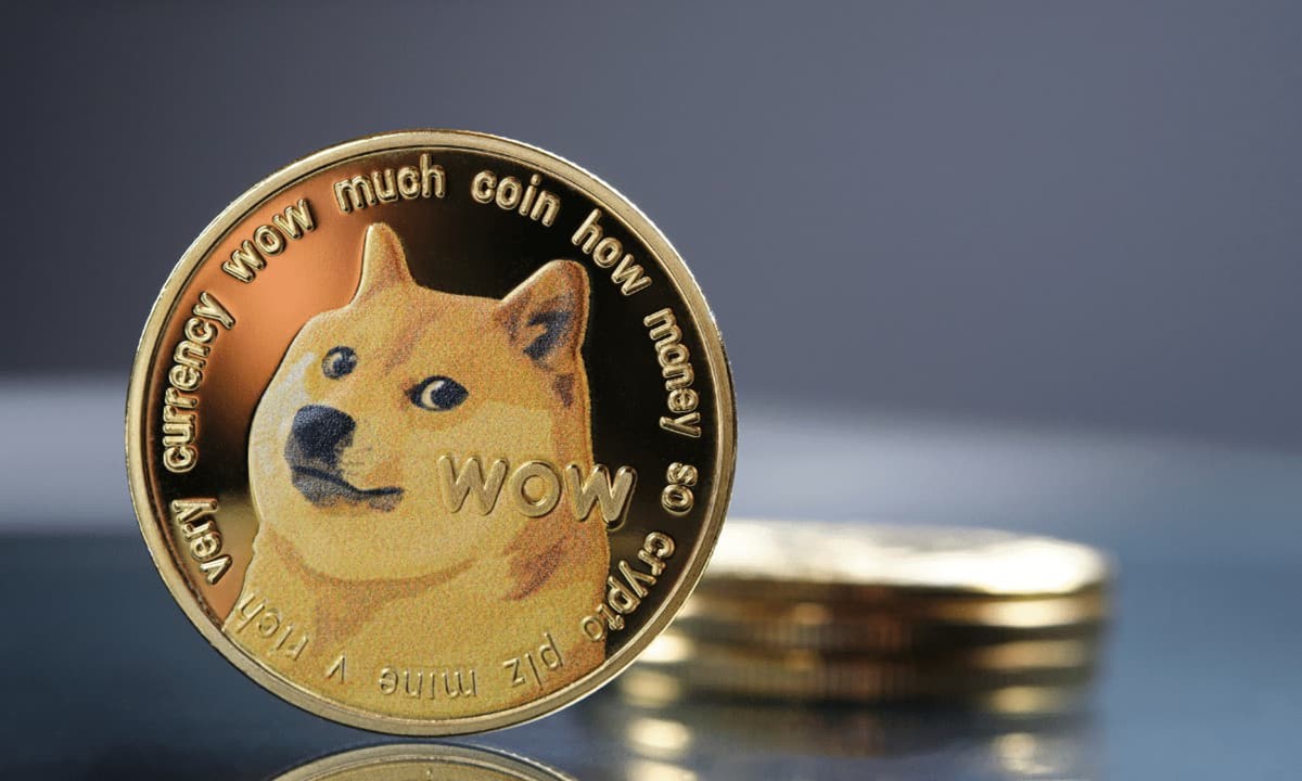 Dogecoin brings in more returns than 3,000 ETFs