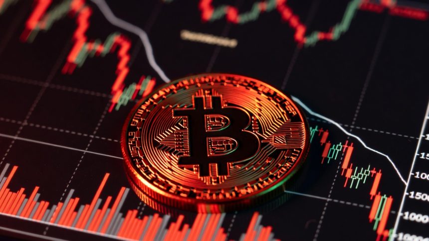 What will happen to the price of Bitcoin? have conflicting opinions