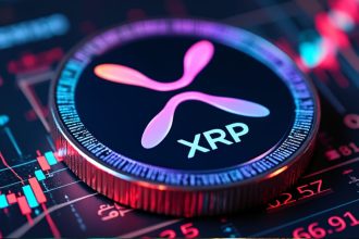 What will the actual implementation of XRP look like? The community asks