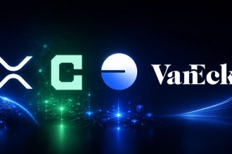 VanEck highlights the potential of XRP Ledger, Canton and other “corpochains”