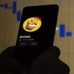Bonk attracted investment from BlackRock, Morgan Stanley, and other financial giants.