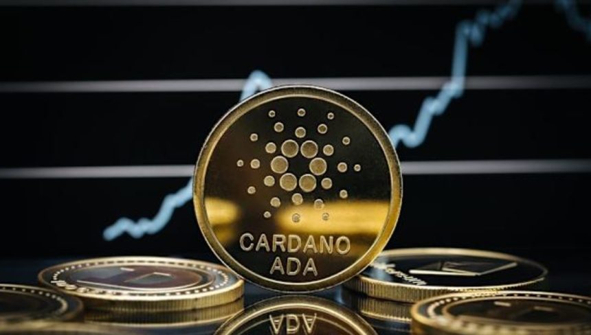 Cardano whale reaches 25 billion ADA for the first time