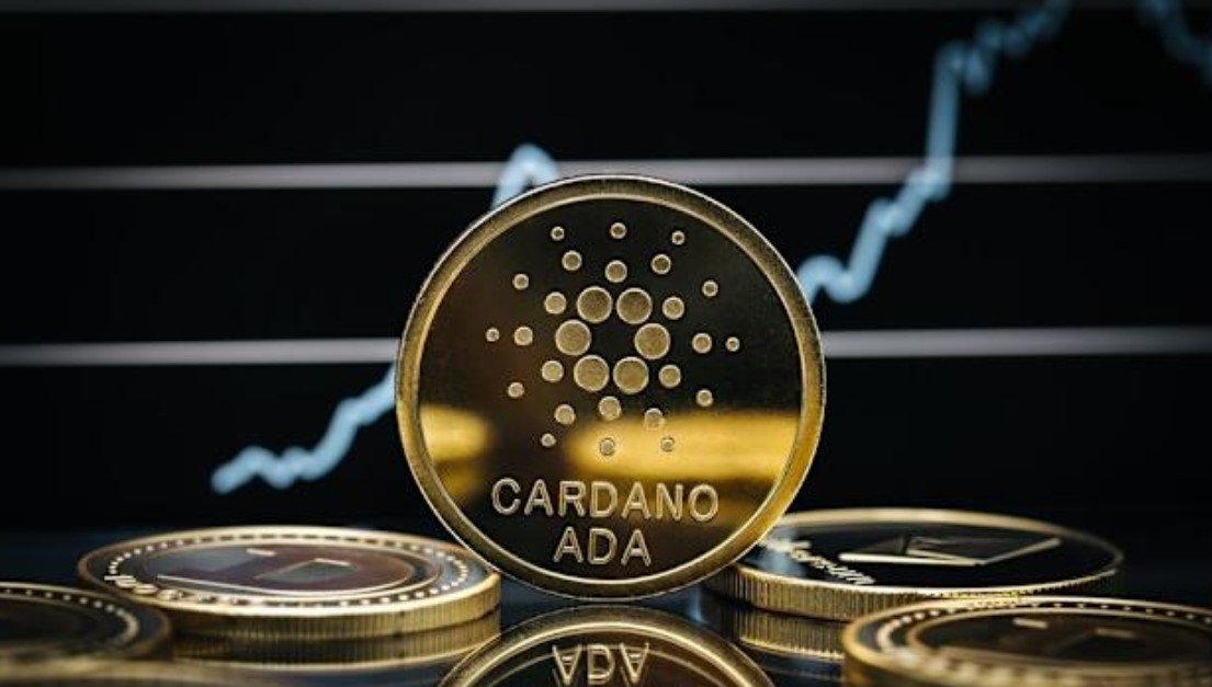 Cardano whale reaches 25 billion ADA for the first time